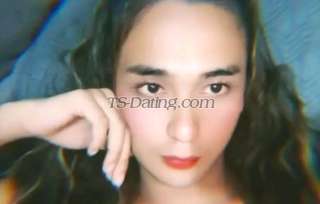 trans girl WildKim 6637560