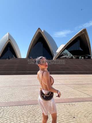 trans girl WildestFantas 6638369 trans girl WildestFantas 6638369