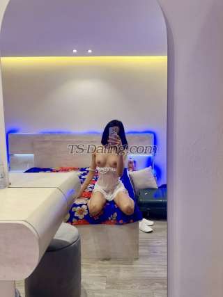 trans girl wanda238abu 8486093 trans girl wanda238abu 8486093