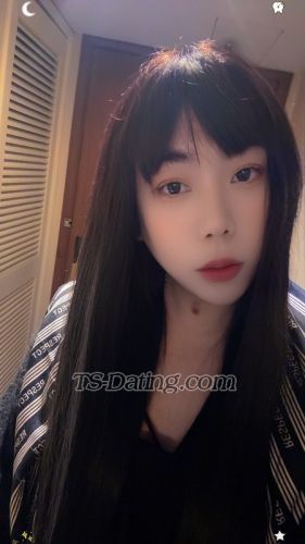 trans girl wangke 2670127