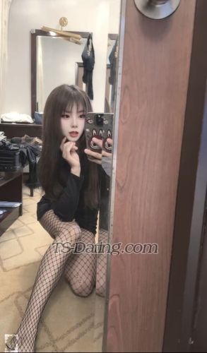 trans girl wangke 5761600