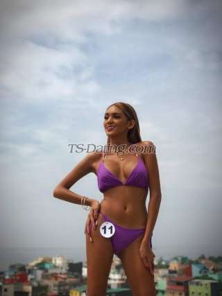 trans girl wildestdream 2626121