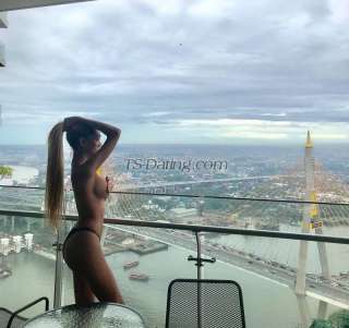 trans girl wildestdream 8896113