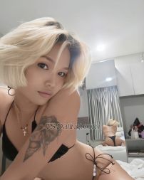 xcocox bangkok  Transex Hi I'm coco in bangkok Available24hrs . You can booking me anytime .Every day have time take care for you can do feeling girlfriends , i want money make for study university. i will make you feel happy with me dear Don’t worry if you have no experience with a transgender i will take a really good care of you and with me you are guaranteed with a good and fun time if you interested book me and you will never regret Plus i always use protection

Let’s Meet and let’s enjoy together Try me…
I will spoiled you!! I will do what you want
All my pictures is 100% Real
What you see is what you get
Contact me
Line ID: babyxgirl69
+66917276891