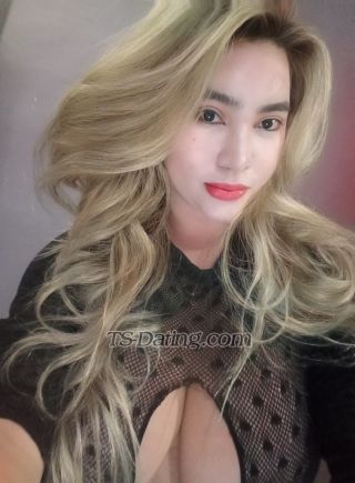 trans girl xoxolove22 2442855
