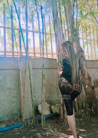 trans girl xoxolove22 2442972