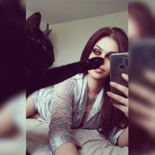 trans girl Yamaar 6072228 trans girl Yamaar 6072228