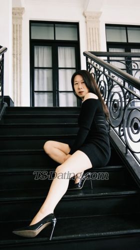 trans girl Yanglisha 8518138