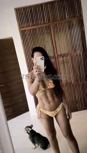 trans girl Yelitzascort 9451280