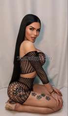 Shemale-Yourdreamts-8965755 