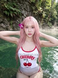 yoojin Taipei Ximendi Transex Hello, I am... Ladyboy my name is yoojin I'm half Thai-Korean. 🇹🇭🇰🇷 
Age 23
Height 34-24-36 Big and beautiful breasts
Height 173 cm. Weight 55 kg. Fair skin, good figure, beautiful face, sexy lips that are kissable
Multi-talented and good at everything
My penis is big and long, pink head, clean
Hope we can have fun together
I will make you fall in love with me
I can do anything you want. See you
My pictures are real. I am 100% as beautiful as in the picture 😉

📲 Whatsapp:+886963549614
📲Line:yoojin-26
📲 WeChat :SongZzz2026
📲 telegram:@yoojin_26
📲 Intragram/Ig：y___yoojin