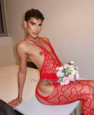 Zahiahot Paris Transex Bonjour Messieurs,𝐋𝐔𝐗𝐔𝐑𝐘
𝐅𝐑𝐄𝐍𝐂𝐇 𝐄𝐒𝐂𝐎𝐑𝐓
𝐒𝐄𝐑𝐕𝐈𝐂𝐄 Uniquement de
Passage..Offrez vous l'instant. Je suis une rareté
!🌟Incroyable FemBoy 23 ans de nationalité
Française, d'origine Marocaine et Italienne 🇲🇦
🇮🇹 . Souriante, Élégante, Cultivé et bon délire
!« La finesse d’une silhouette, l’élégance
du luxe »Doté d'une bouche pulpeuse, d'un visage de
Poupée et d'une voix Sexy.Ma silhouette est
harmonieuse et élancée, ma taille et mes fesses sont
sculptées par le sport 🍒 🪞 Toujours
apprêté, lingerie exquise, parfums envoûtants et talons
élégants... tout est pensé pour éveiller vos sens et
sublimer chaque instant.  ⚜️ MON MENU CHARNEL
:▪️ Massage sensuel à l'huile ▪️
Fellation Nature▪️ Rapport protégé toutes
positions ▪️ FrenchKiss ▪️ Domination Soft
ou Hard ▪️ Sperme buccale ou corporel▪️
Annulingus, 69, Poppers▪️ Caresses, Corps à Corps,
tétons ▪️Paroles coquines, strip-tease
🔞▪️GFE, PSE, jeux de rôle
▪️Féminisation  ▪️Accompagnement,
Soirée, Nuitée ❄️ 🥂 ❤️‍🔥 🌿
Pour les plus audacieux je réalise des Shows Cam
ou du Contenu Hot.🎥 SHOW CAM : 50 🌹
J'aime donner et recevoir du plaisir. Active et
Passive ! 🤭Mes photos sont 100% Réelles,
inutile de m'en redemander ! Je Garantis une
Discrétion Absolue. 💝🪄 UNE NOTE PERSONNELLE
Je suis sélective. L'élégance, le respect et la
bonne énergie sont essentiels.L'hygiène est
primordiale pour moi, attitude négligée sera
refusée.J'attend de vous une brève présentation
lors de la prise de contact, J’apprécie les hommes
courtois, élégants… 👔⚠️  Je Reçois ou
me Déplace toujours dans des lieux de standing — Privés,
Sécurisés et Discret — avec salle d’eau a disposition
🚿 Dédiée à mon activité je ne conserve ni espèces ni
objets de valeur..⛔ Je BLACKLIST ⛔️ les
messages :de négociation, irrespectueux, ou les
rendez-vous non honorés sans prévenir. Merci de
respecter mon standing : je ne permets pas les propositions
à 50,60 !Retrouvez moi sur Snapchat :
zhxzhx75Dans l’attente de vous lire…Zahia
💋Votre rêve éveillé dans un monde trop
ordinaire.