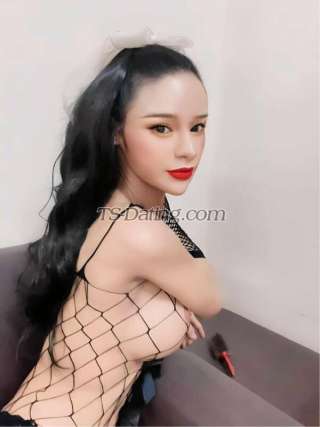 trans girl Zara99 4736978