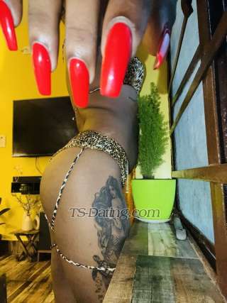 trans girl Zarakhan22 2693487