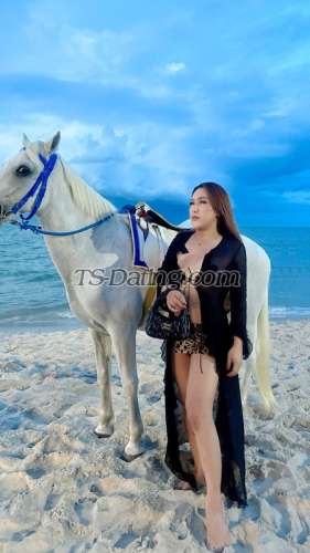 trans girl Zazyzix 4862321