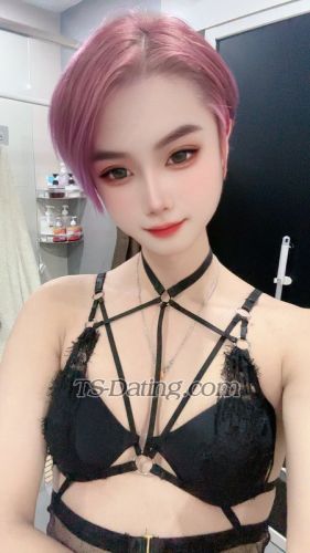 trans girl Zevvi1997 6532732
