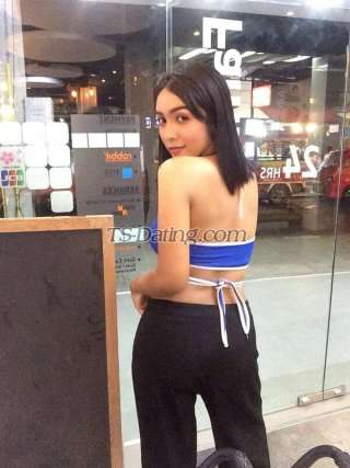 trans girl Zodatrans girl 8455675