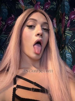 trans girl Zoedollz 1448500 trans girl Zoedollz 1448500