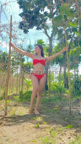 trans girl ZoeyAlawi 3960078 trans girl ZoeyAlawi 3960078