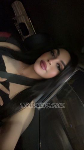 trans girl Zozzayan 4300706 trans girl Zozzayan 4300706