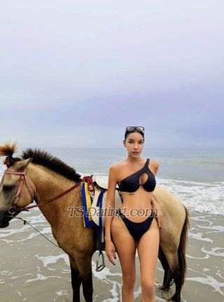 trans girl Zuleyka1234 3300898